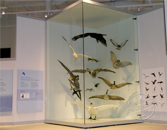 博物馆展柜