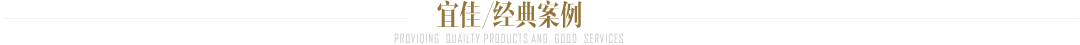 经典案例