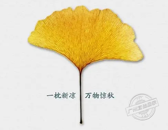 商场展柜厂家